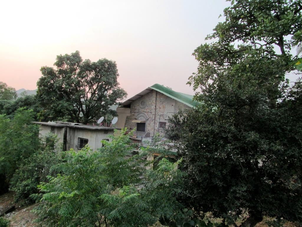 Forest Eco Lodge Маунт Абу Екстериор снимка